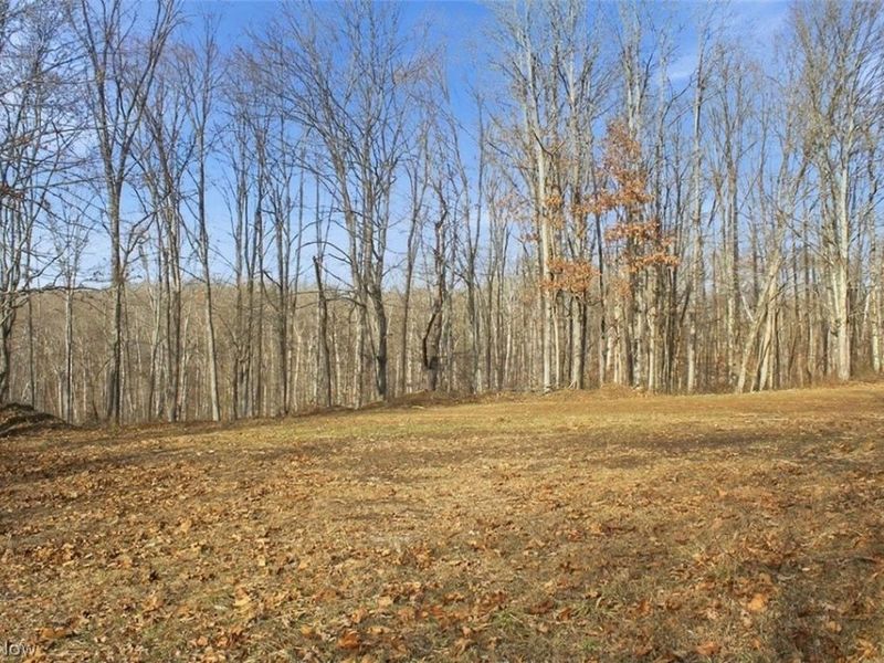 00 State Route 155 SE, Corning, OH 43730 Photo 16