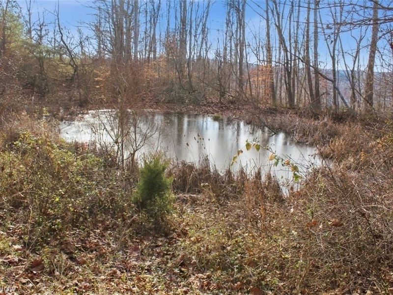 00 State Route 155 SE, Corning, OH 43730 Photo 17