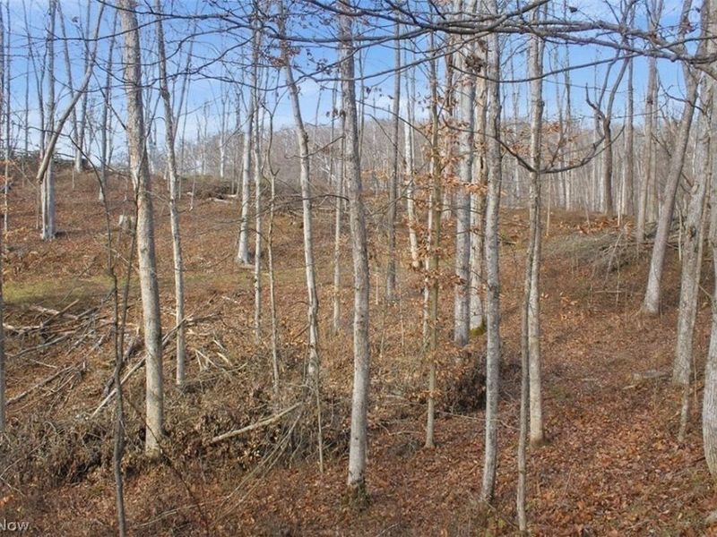 00 State Route 155 SE, Corning, OH 43730 Photo 19