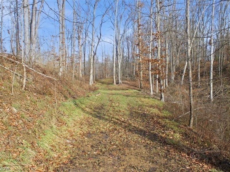 00 State Route 155 SE, Corning, OH 43730 Photo 20