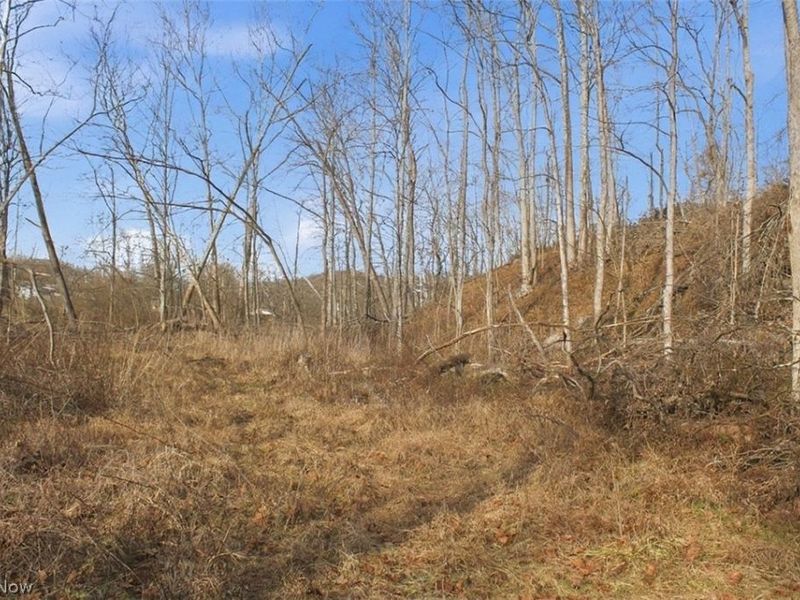 00 State Route 155 SE, Corning, OH 43730 Photo 21