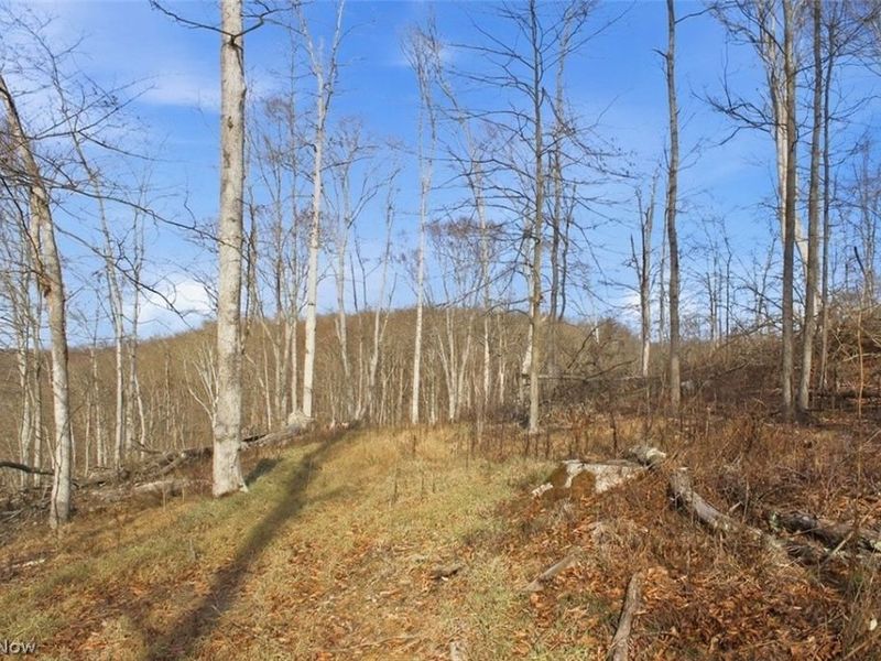 00 State Route 155 SE, Corning, OH 43730 Photo 22