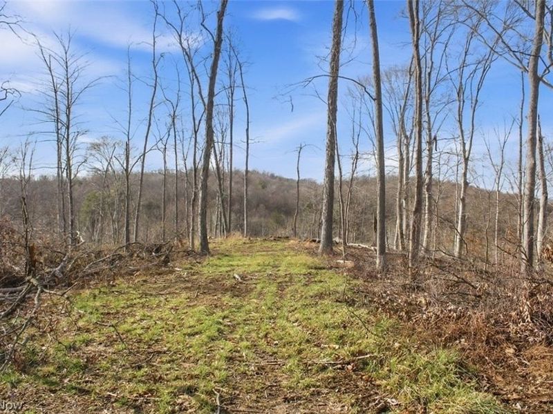 00 State Route 155 SE, Corning, OH 43730 Photo 24