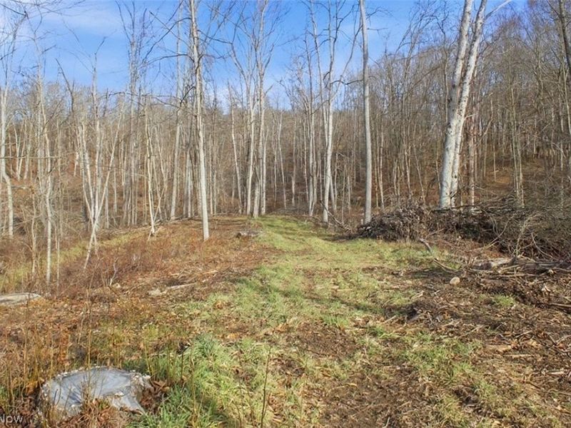 00 State Route 155 SE, Corning, OH 43730 Photo 25