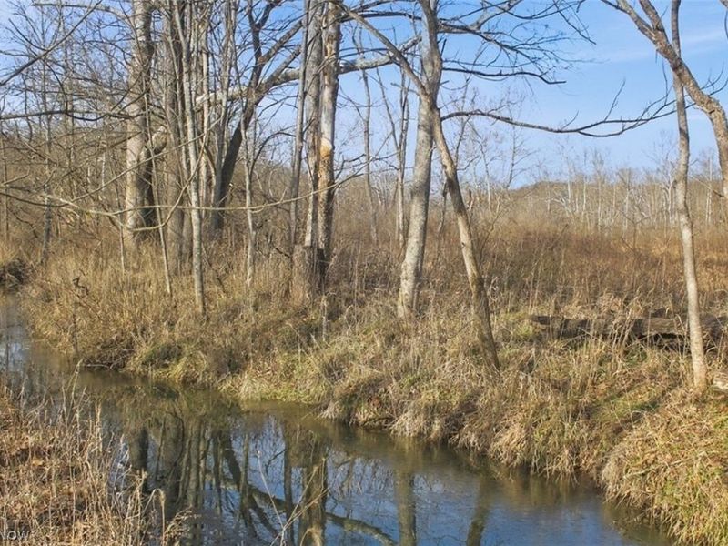 00 State Route 155 SE, Corning, OH 43730 Photo 26