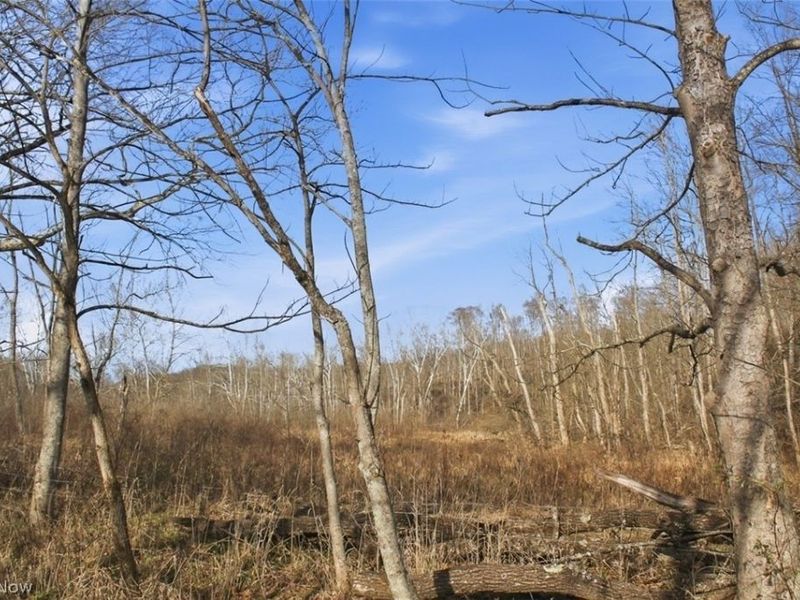 00 State Route 155 SE, Corning, OH 43730 Photo 27