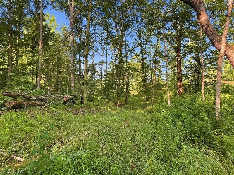 00 State Route 155 SE, Corning, OH 43730 Photo 28