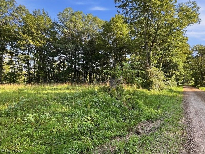 00 State Route 155 SE, Corning, OH 43730 Photo 29