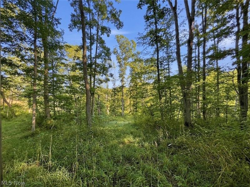 00 State Route 155 SE, Corning, OH 43730 Photo 30