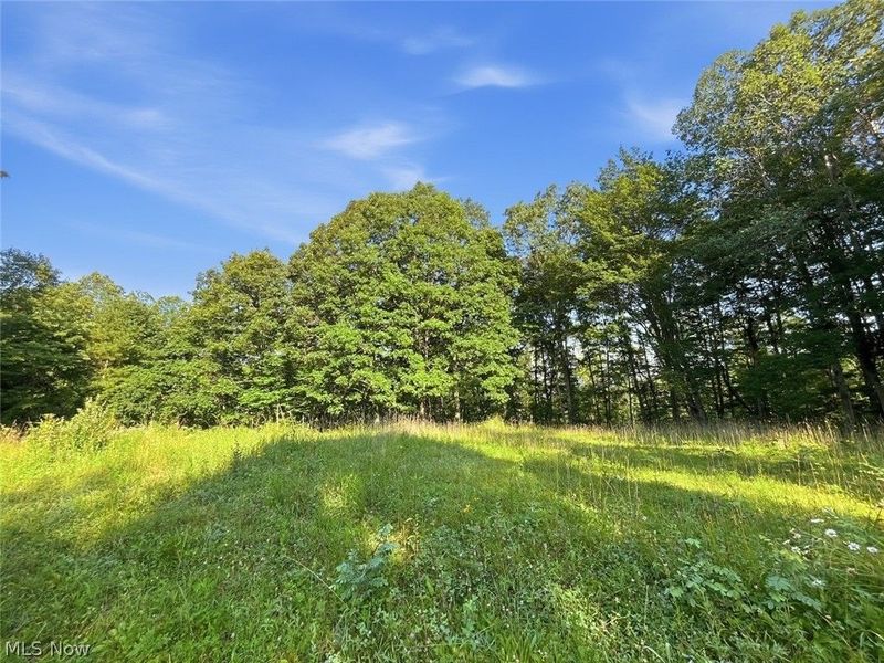 00 State Route 155 SE, Corning, OH 43730 Photo 31