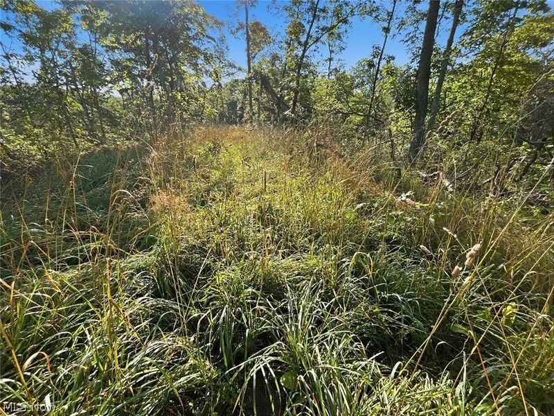 00 State Route 155 SE, Corning, OH 43730 Photo 32