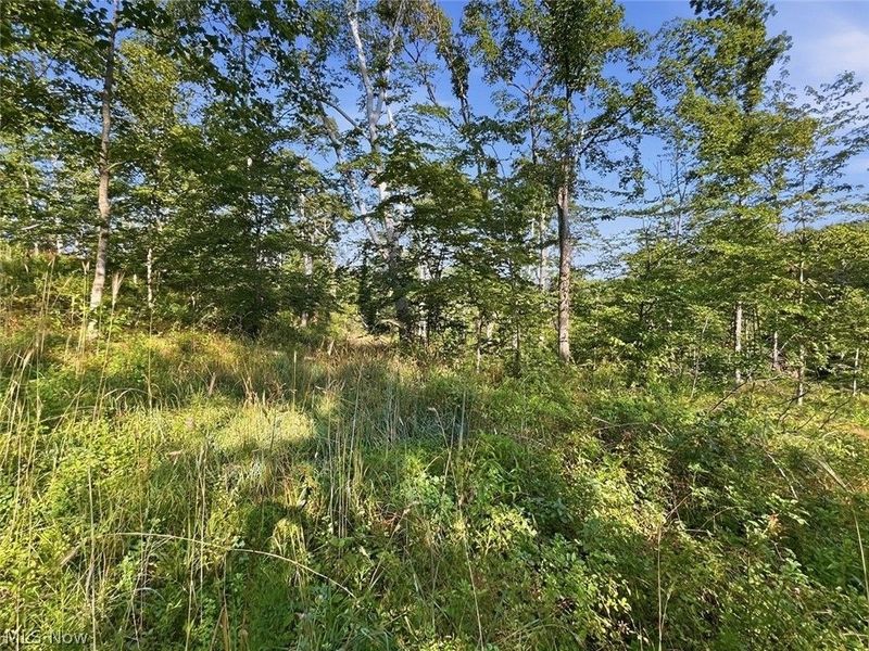 00 State Route 155 SE, Corning, OH 43730 Photo 33