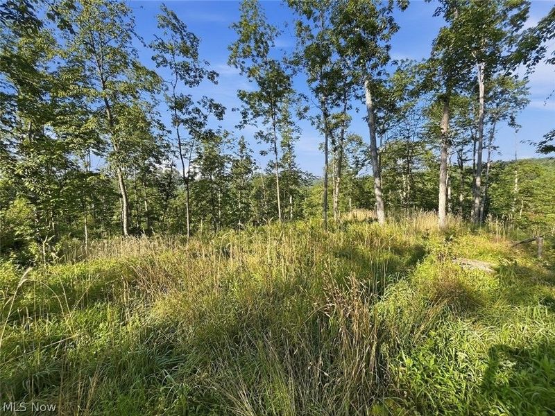 00 State Route 155 SE, Corning, OH 43730 Photo 34