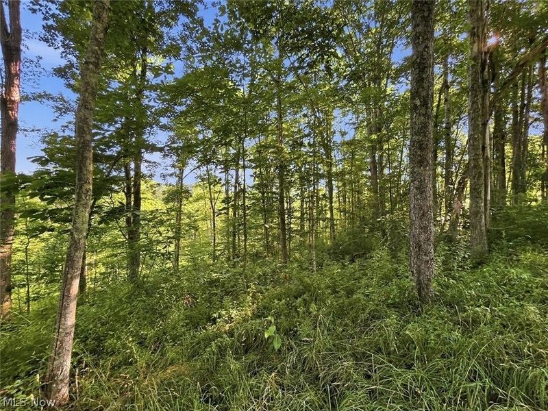 00 State Route 155 SE, Corning, OH 43730 Photo 35