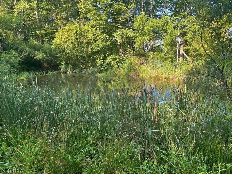 00 State Route 155 SE, Corning, OH 43730 Photo 36