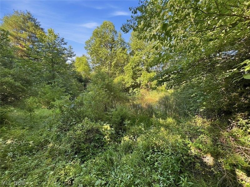 00 State Route 155 SE, Corning, OH 43730 Photo 37