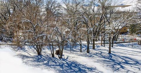 0 Rhodes Road, Reno, NV 89521 Photo