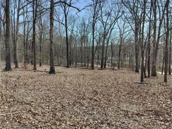 0 Hickory Log Circle, Eastanollee, GA 30538