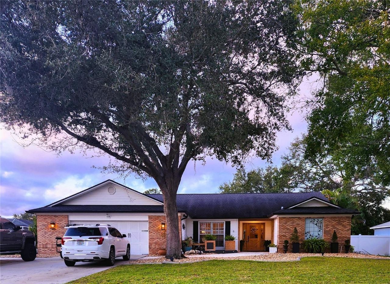 338 Lafayette Boulevard, Oldsmar, FL 34677 Main Photo