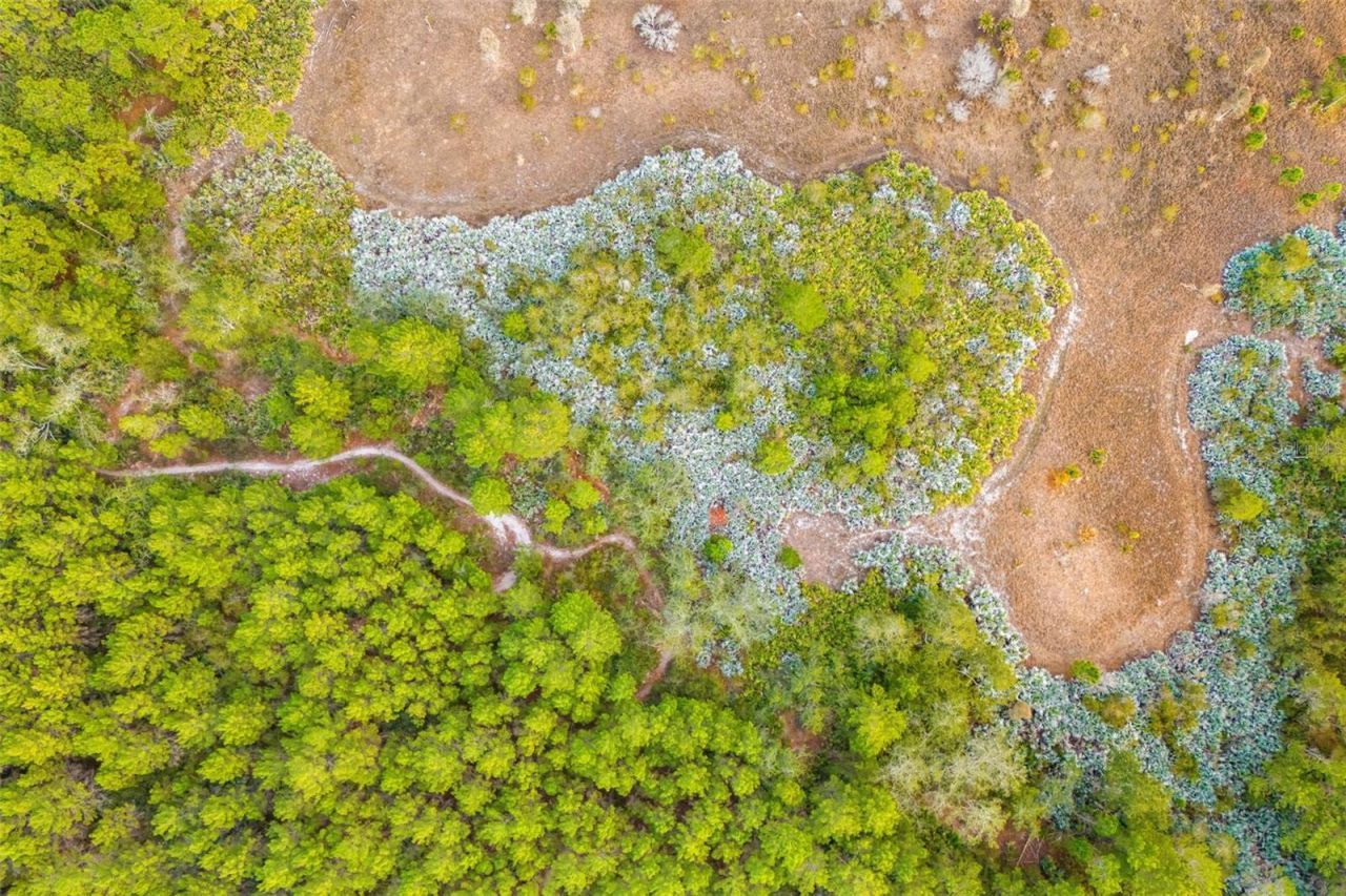 1305 Pemberton Trail, Malabar, FL 32950 Photo