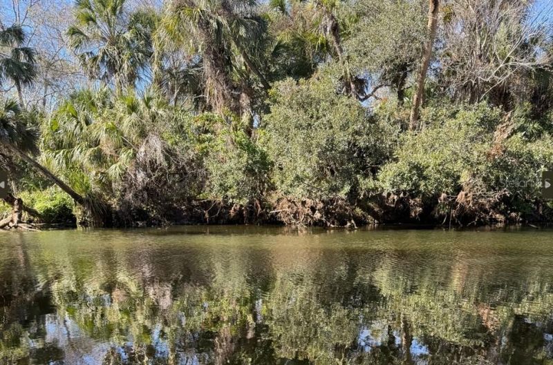 1305 Pemberton Trail, Malabar, FL 32950 Photo