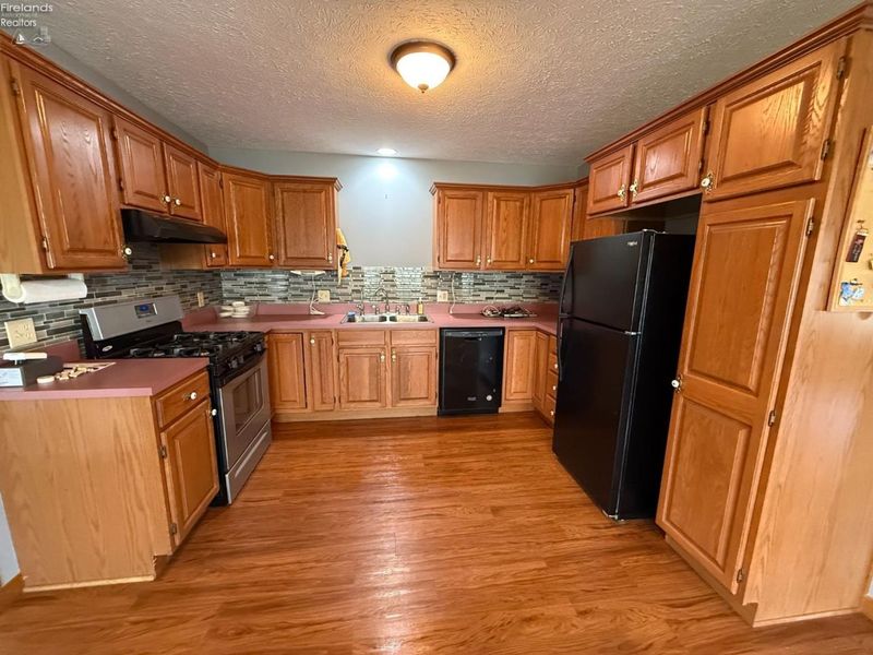 20 Katherine Way, Norwalk, OH 44857 Photo 2