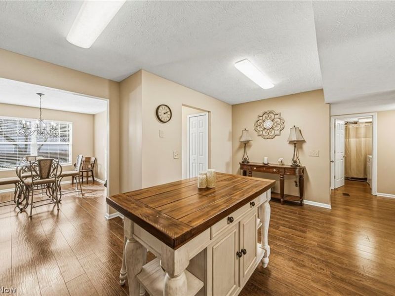 5556 Saint Thomas Lane, Madison, OH 44057 Photo 12