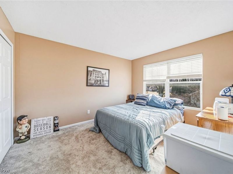 5556 Saint Thomas Lane, Madison, OH 44057 Photo 26