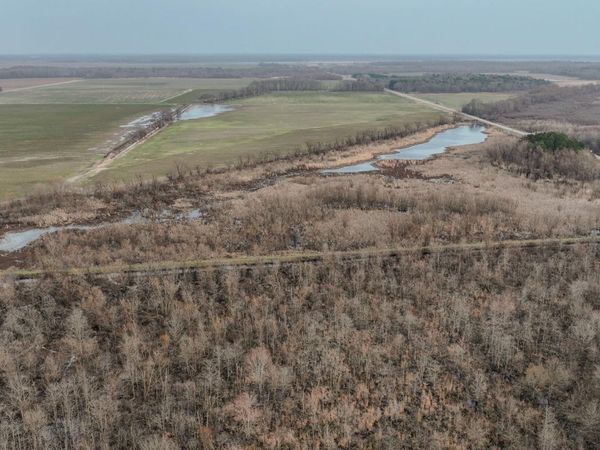 Holly Grove, AR 72069