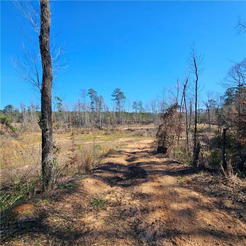 1531 NELMS Loop