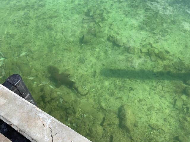 814 S Emerald Drive, Key Largo, FL 33037 Photo