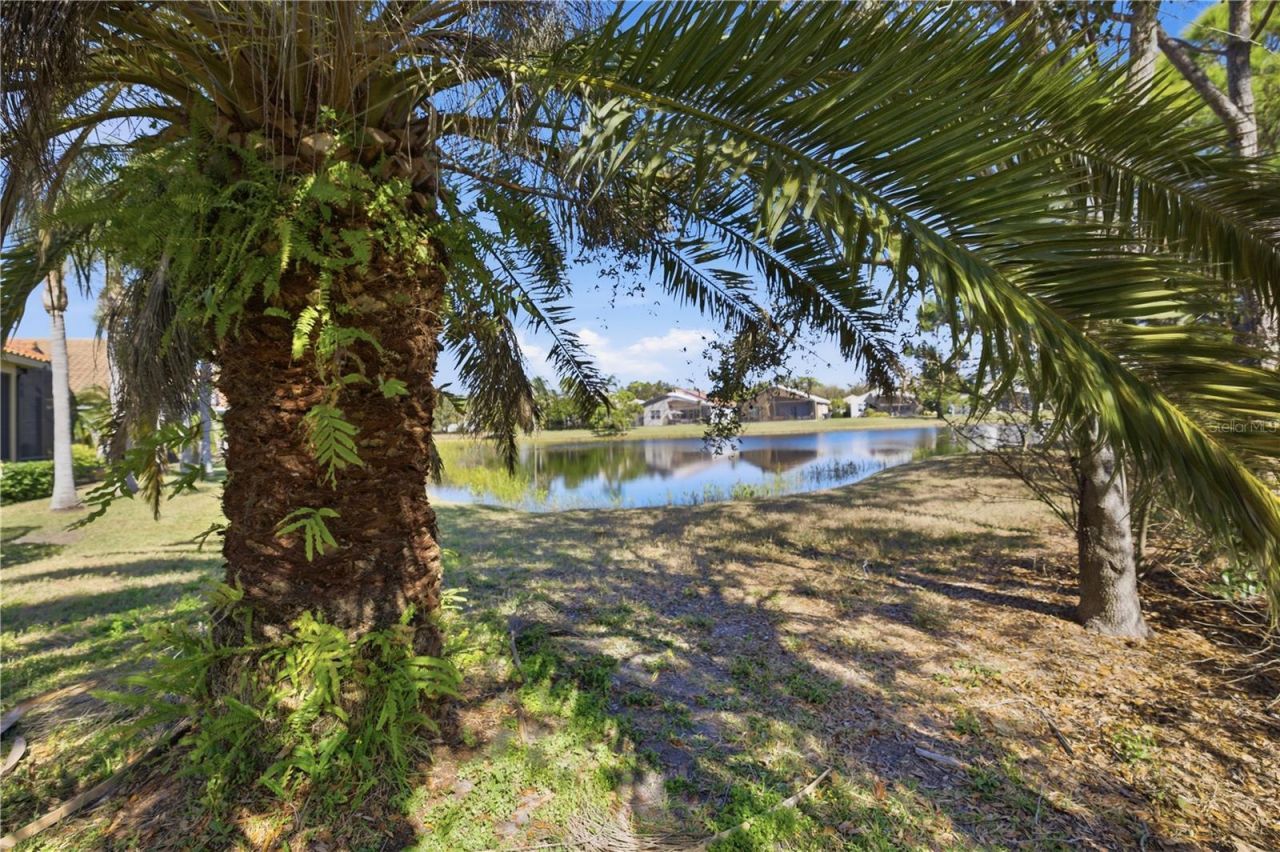 6507 41st Court E, Sarasota, FL 34243 Photo