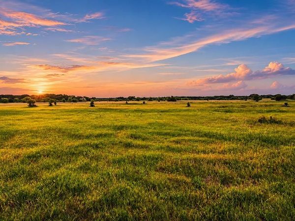 TBD County Road 310, Jonesboro, TX 76585
