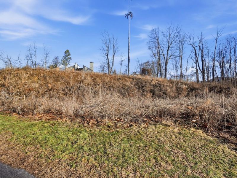 2750 Lauffer Ravines Drive, Columbus, OH 43231 Photo 11