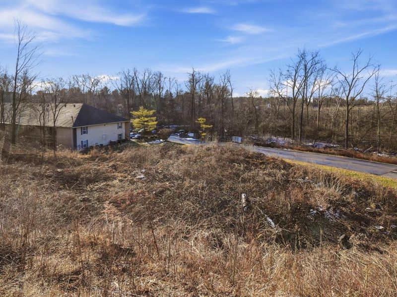 2750 Lauffer Ravines Drive, Columbus, OH 43231 Photo 2