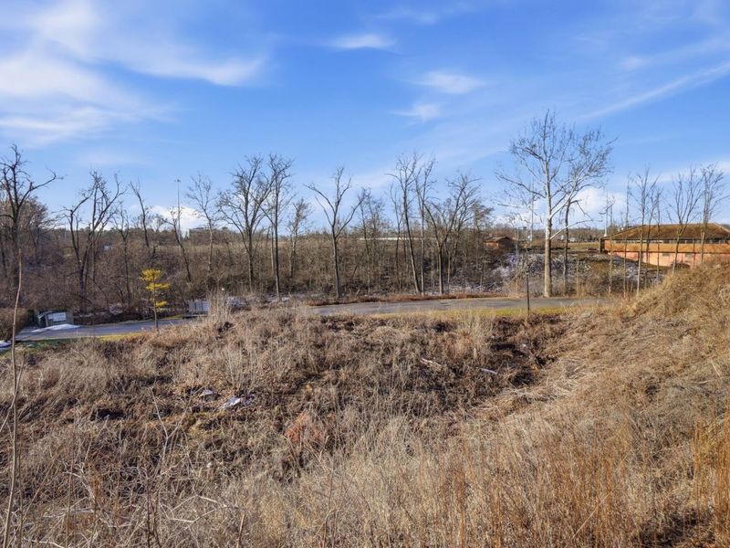 2750 Lauffer Ravines Drive, Columbus, OH 43231 Photo 3