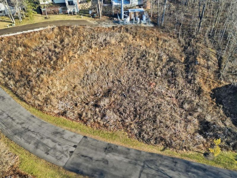 2750 Lauffer Ravines Drive, Columbus, OH 43231 Photo 4