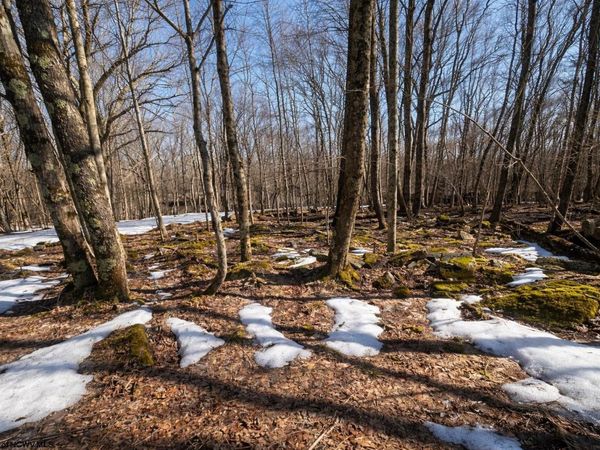 0 E Alpine Drive, Terra Alta, WV 26764