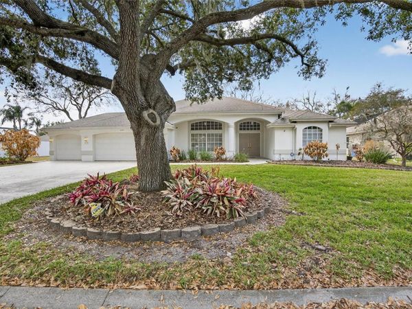 3303 CUMMINGS PLACE, PLANT CITY, FL 33566