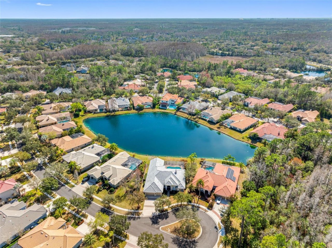 17214 Broadoak Drive, Tampa, FL 33647 Photo