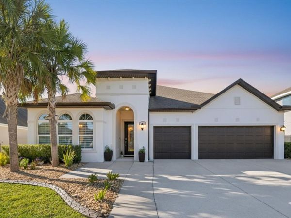 1781 TONKA TERRACE, WESLEY CHAPEL, FL 33543