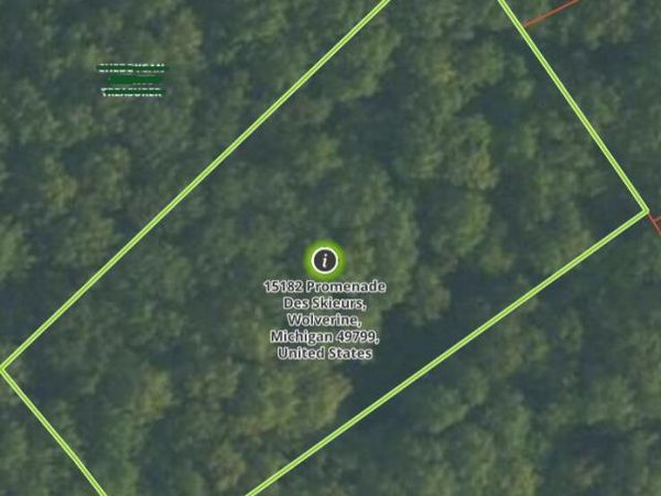 15182 Promenade Des Skieurs, Wolverine, MI 49799