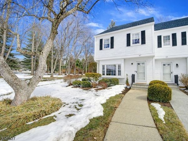 67 Hampshire Dr, Mendham, NJ 07945