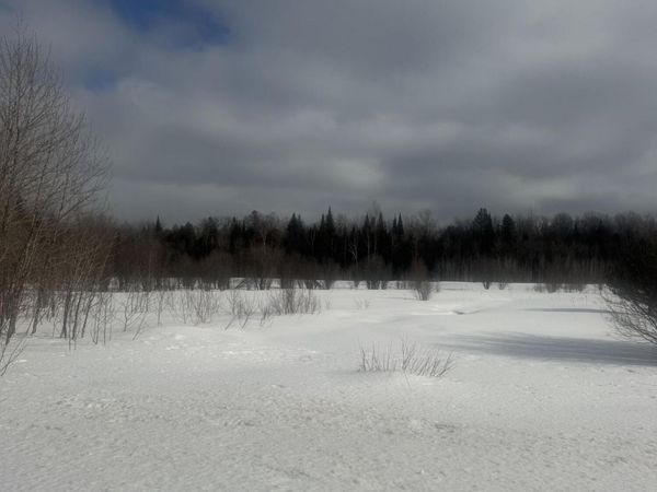 0 Michigan 77 HWY, Germfask, MI 49836