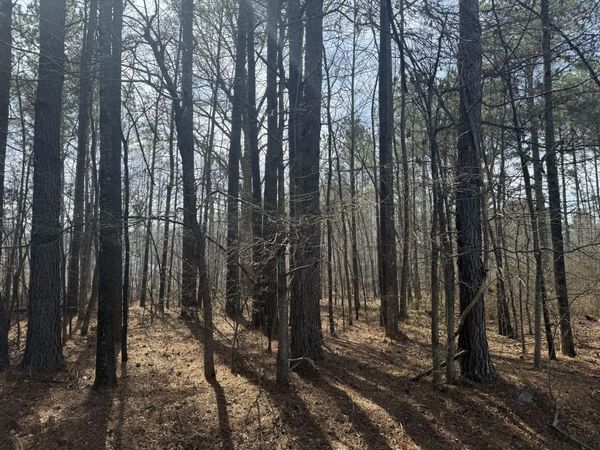 0 Pierce Rd, Columbus, MS 39702