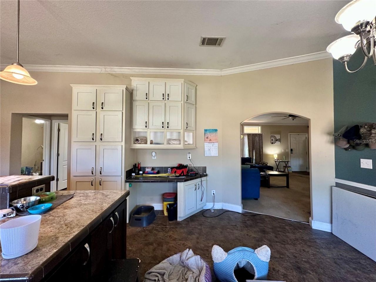 237 SW Baron Glen, Fort White, FL 32038 Photo