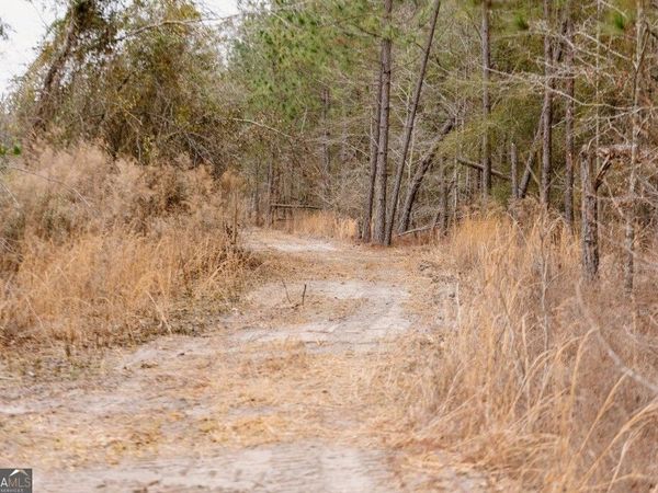 0 Bunn Store Road, Unit TRACT 2, Midville, GA 30441