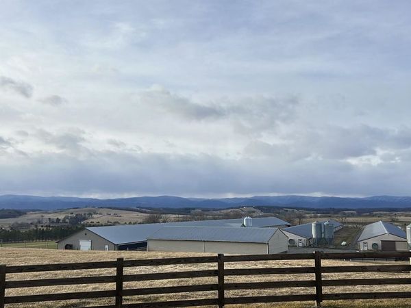 102 CENTERVILLE RD, BRIDGEWATER, VA 22812