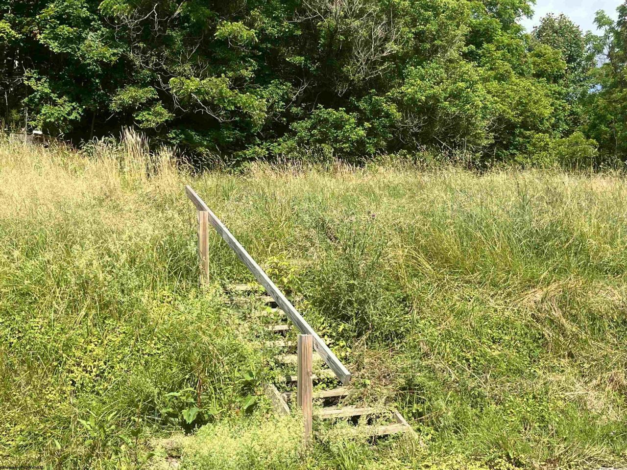 7337 Old Mill Road, Jane Lew, WV 26378 Main Photo