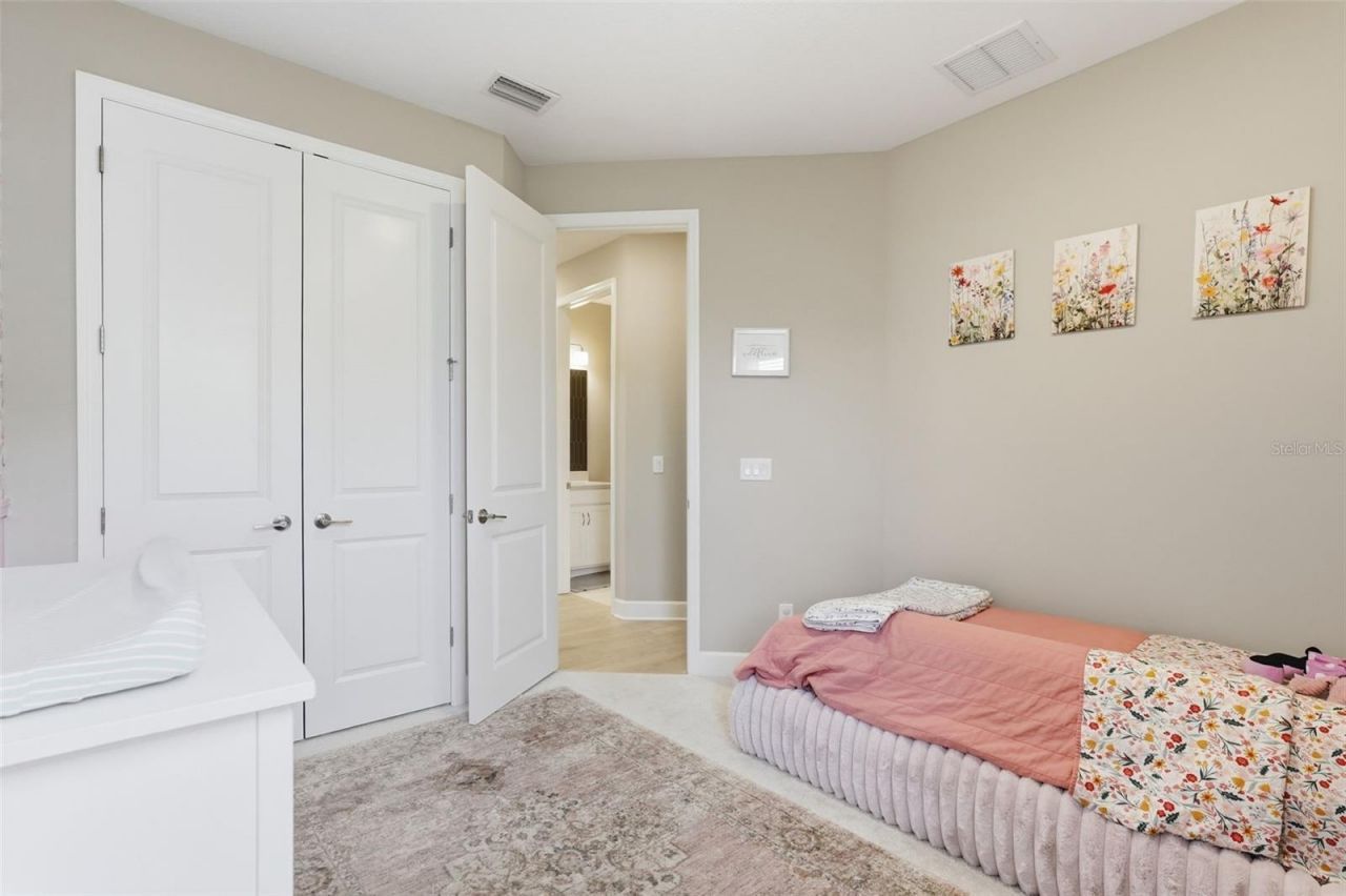 16520 Star Grass Circle, Bradenton, FL 34211 Photo